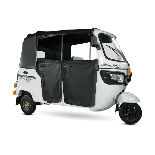 KING DELUX PLUS GS+ ESPECIAL